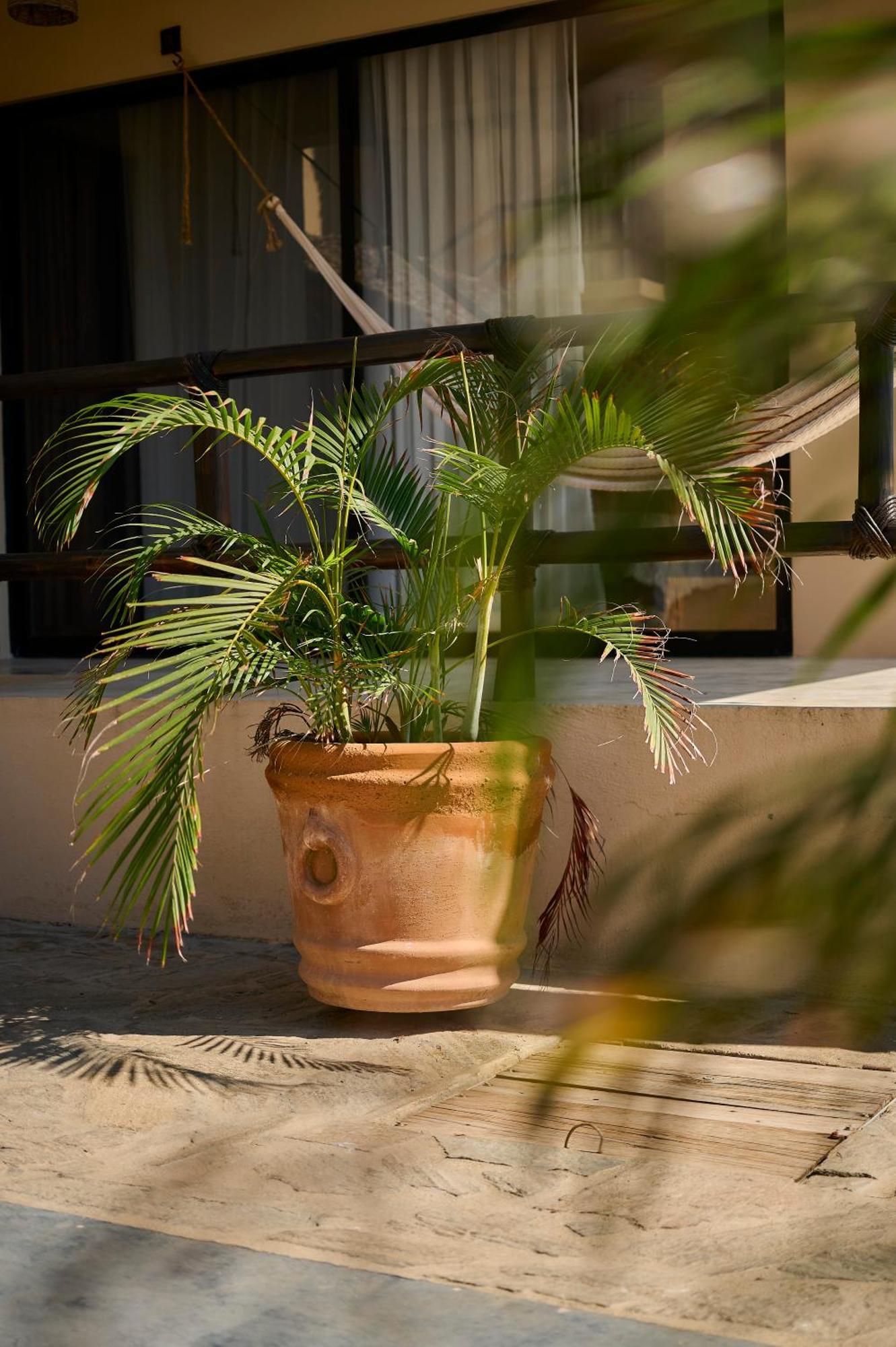 Lya Beach House Santa María Colotepec 외부 사진